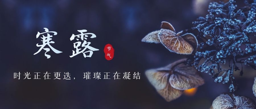 寒露 ▎時(shí)光更迭，璀璨正在凝結(jié)~