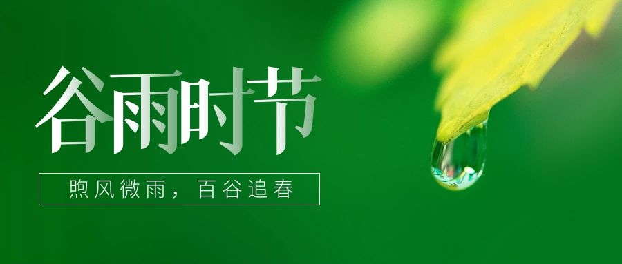 谷雨 ▎雨生百谷，鎖住一抹春色
