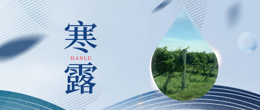 寒露丨夜露凝寒，萬物皆秋